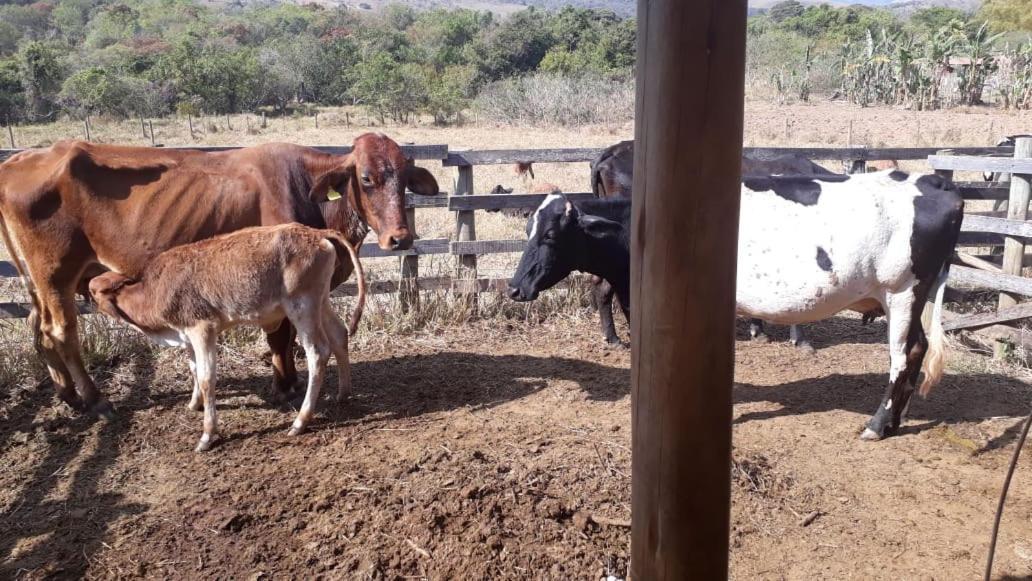 Pousada Estancia Macaubas - São Roque de Minas Exterior foto
